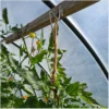 tomatenhaken