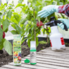 Spruzit NEEM Gemüseschädlingsfrei 75 ml – Bild 3