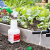 Spruzit NEEM Gemüseschädlingsfrei 75 ml – Bild 2
