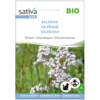 baldrian sativa