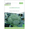 Broccoli Calabrese Natalino