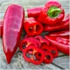 Corno Rosso – Bild 3
