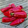 Corno Rosso – Bild 4