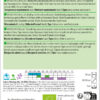 Broccoli Rasmus – Bild 8