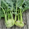 Kohlrabi Lanro