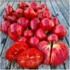 Ochsenherztomate Cuor di Bue