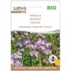 Phacelia