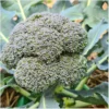 Broccoli Rasmus – Bild 6