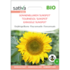 Sonnenblume Sunspot – Bild 4