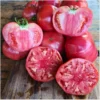 Tomate Rosa