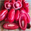 San Marzano – Bild 2