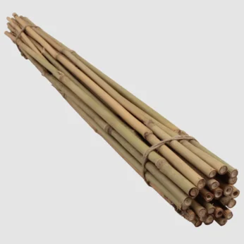 Bambusstab 25 Stück