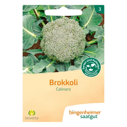 Broccoli Calinaro