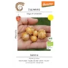 Physalis Dulceria – Bild 3