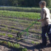 Lucko Egge – Bild 2
