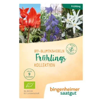 Frühlings Kollektion