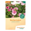 Bechermalve
