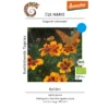 Tagetes Kolibri – Bild 3