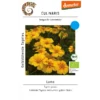 Tagetes Lumo – Bild 3