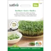 Microgreens Basilikum